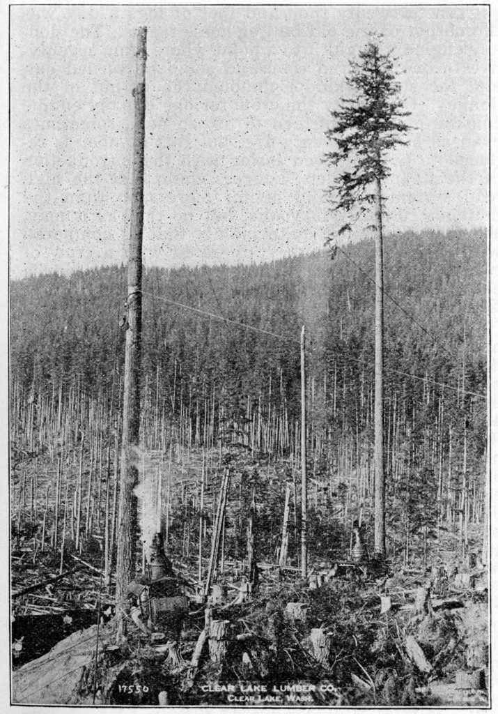 Topping a spar tree